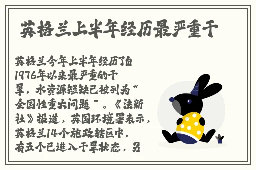 国产一区二区三区精品不卡