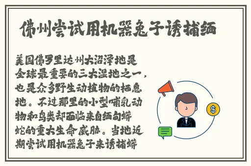整篇都是车的多肉1V4推荐